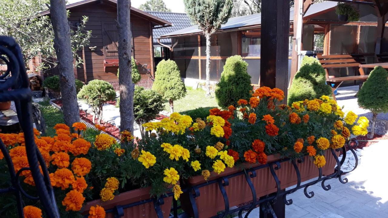 Casa Alberta Ocna Şugatag Esterno foto