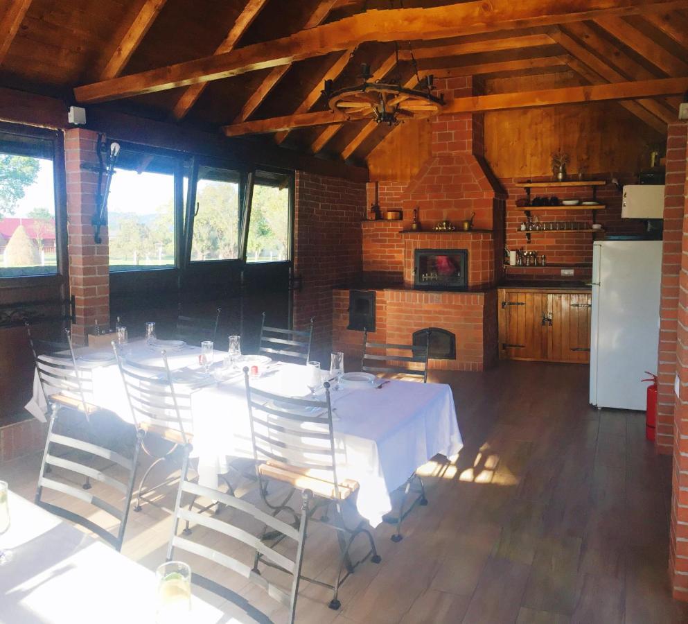 Casa Alberta Ocna Şugatag Esterno foto
